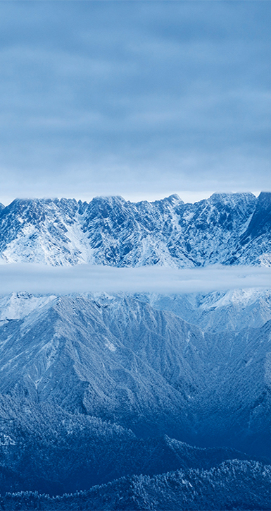 关于南宫NG28相信品牌力量